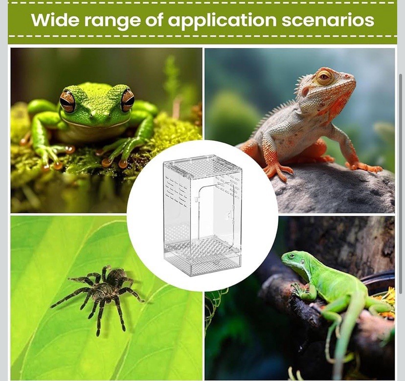 Jumping Spider Habitat