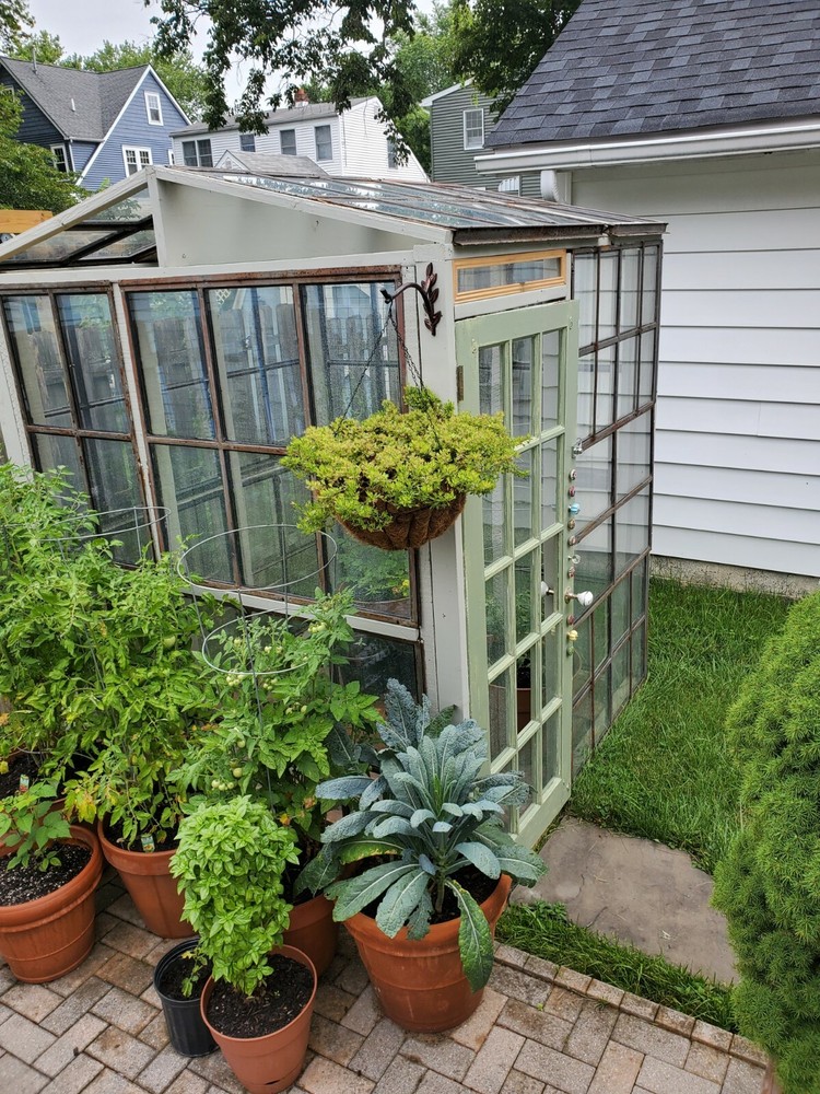 Vintage/Antique windows.