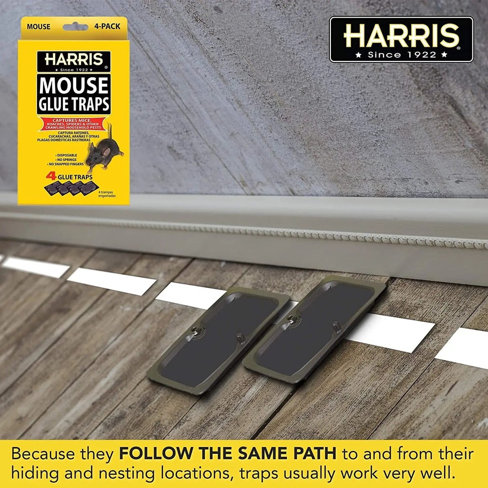 Harris Pre-Baited Mouse Glue Traps, Fully Disposable 4-Pack
