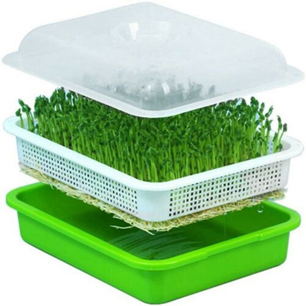 Nursery Pots Double Layer Germination Greenhouse Hydroponics Microgreens