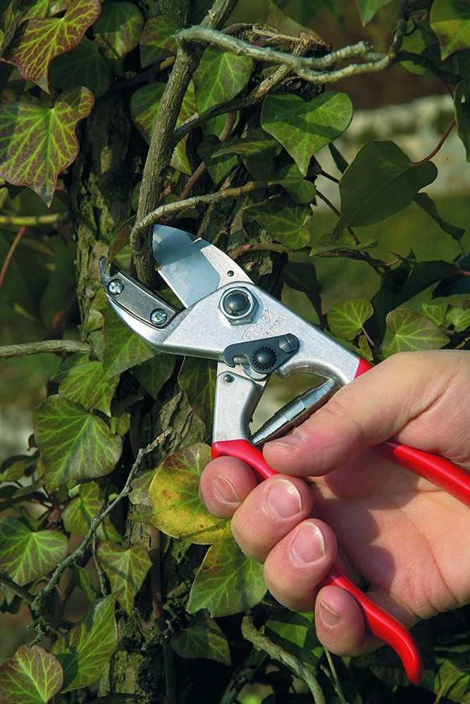 Felco 31 Pruning Shear, Anvil Style, Swiss Made, High Performance