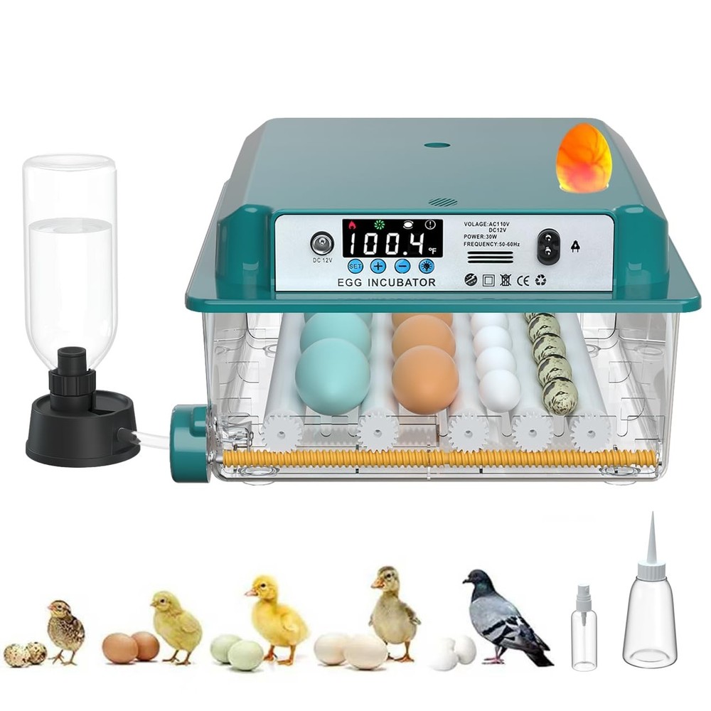 16 Eggs Incubators for Hatching Eggs with Automatic Turning and Humidification
