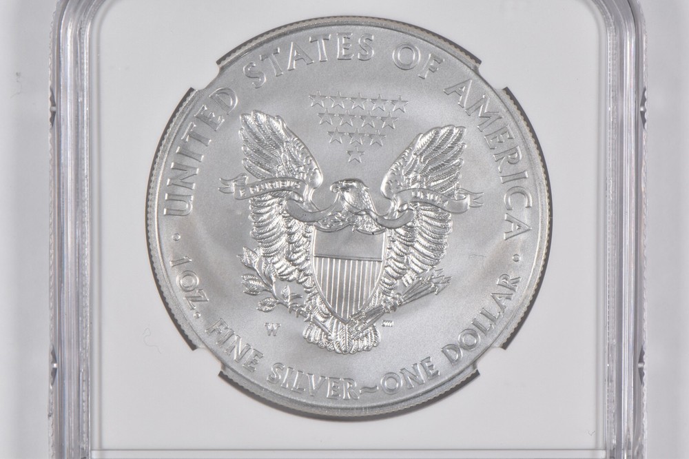 MS70 2013-W Burnished Annual Set - American Silver Eagle NGC