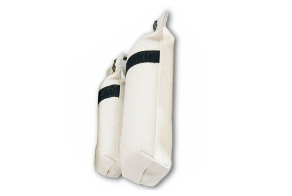 Puppy Training Dummies