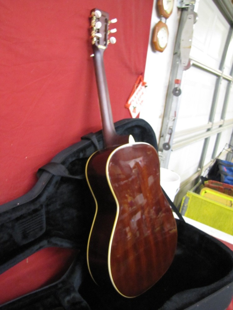 Rogue Fine Instruments Guitar