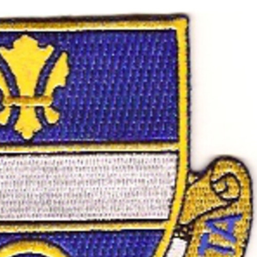 365th Infantry Regiment Patch