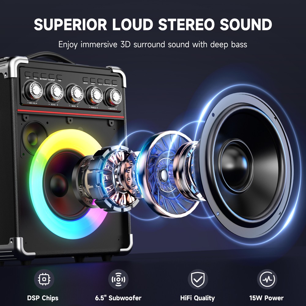 Karaoke Machine Audio with Microphone Portable Bluetooth Speaker Graduation Gift