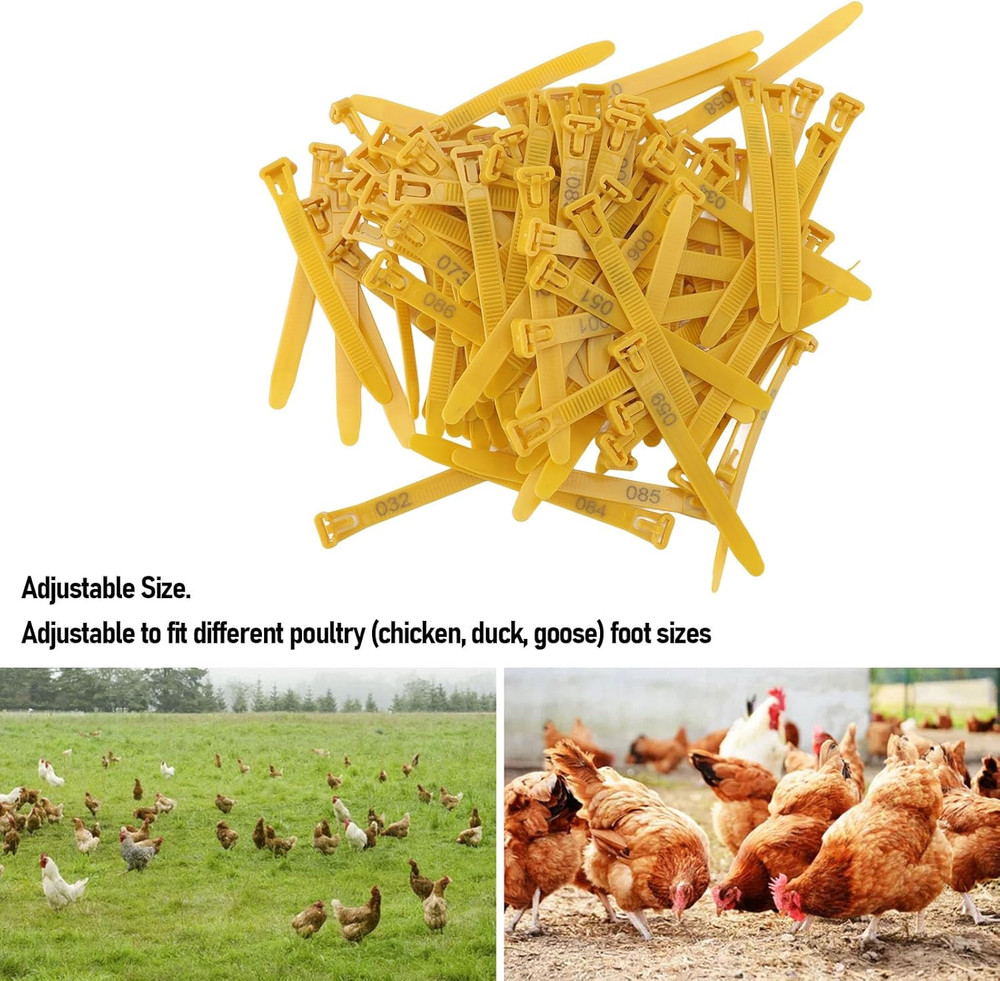 100pcs Chicken Leg Bands Rubber Chicken Identification Leg Bands Adjustable D...