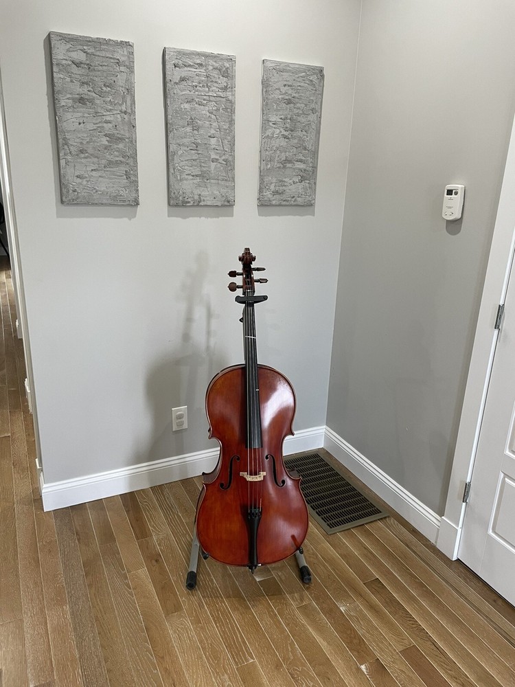 Francesco Moretti Handcrafted Cello with Set