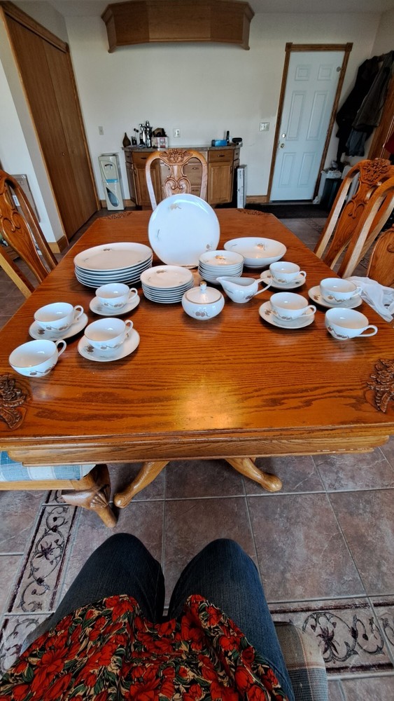 Fukagawa Arita Handpainted 41 Piece Grouping Dinnerware Pine Cone Pattern #904