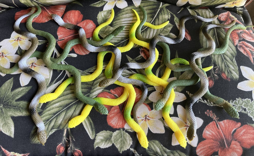 Toy Snakes (12) - Flat - Medusa?