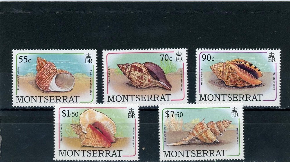 Montserrat 1988 Shells Scott# 687//95 Mint NH