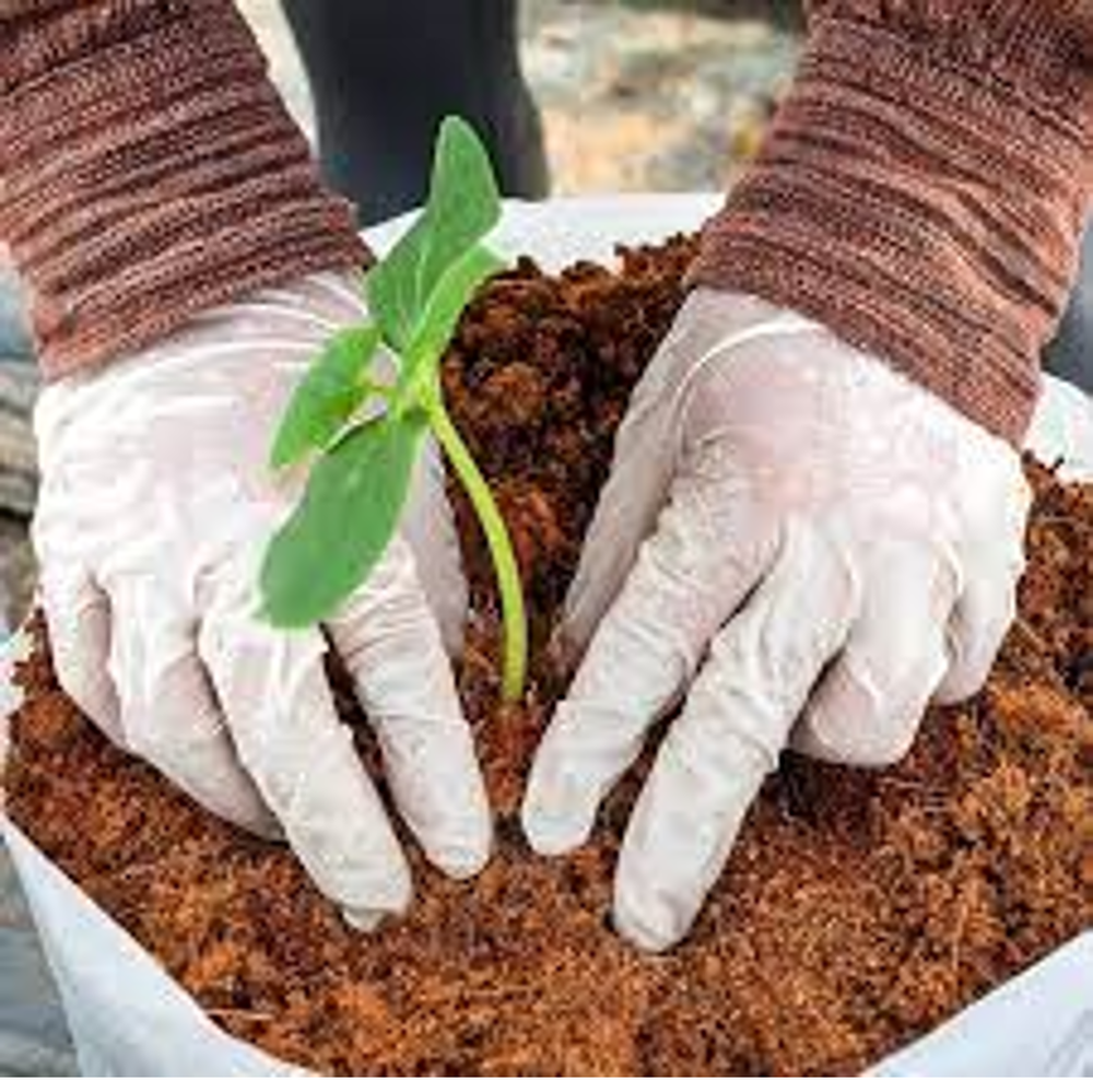 COCO COIR COCO PEAT 100% Organic Natural Hydroponic Growing Media Compost Soil