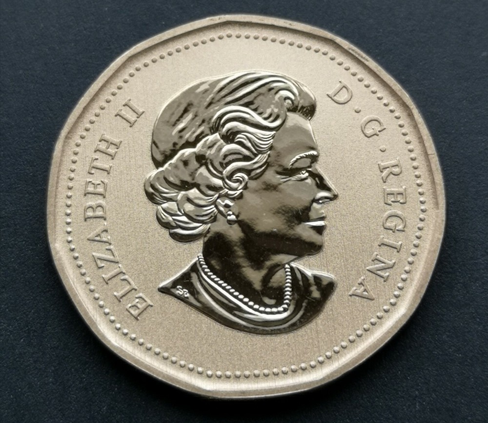 *** CANADA LOONIE 2013 *** BLUE - WINGED TEAL *** SPECIMEN ***