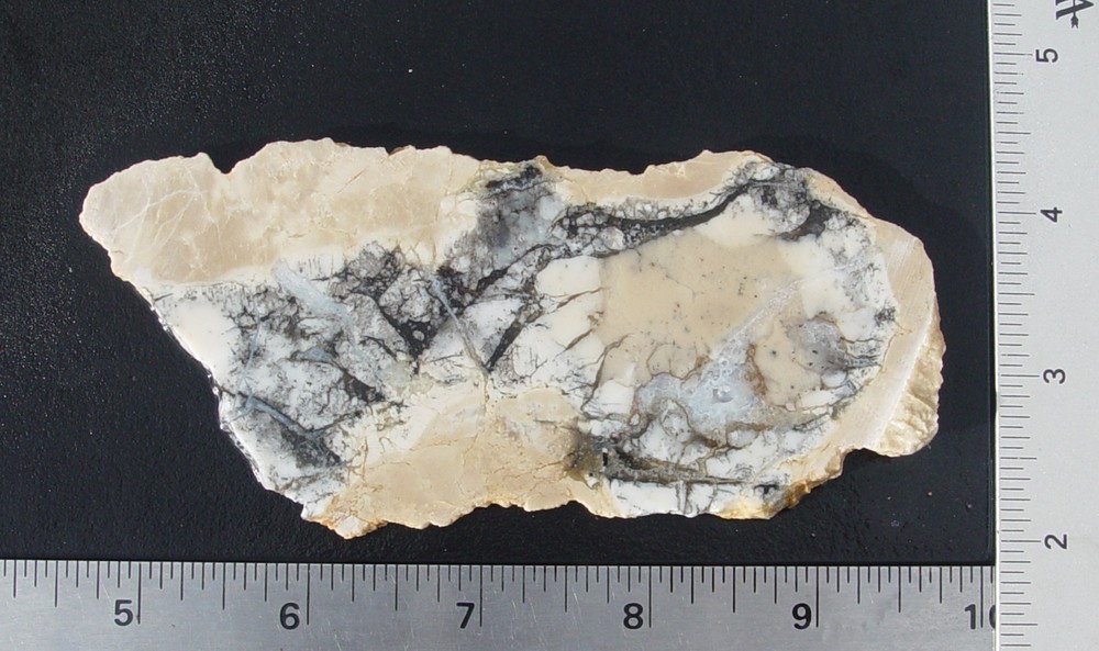 Cedar Ridge Dendritic Opal     Lapidary Slab                    T1129