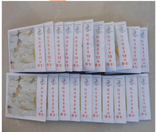 Guzheng B string standard  strings  Germany with steel core 1-21 sets  strings