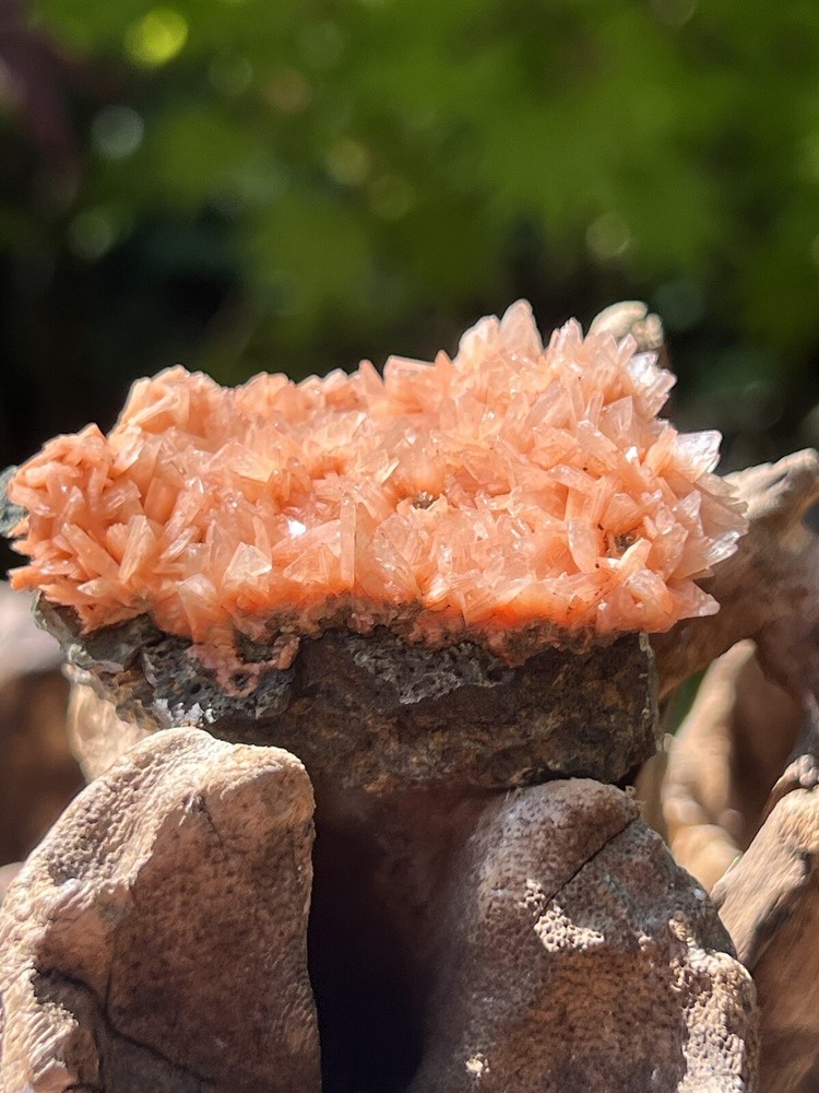 Orange Heulandite Cluster Bed Bright Colouring AAA+ 7