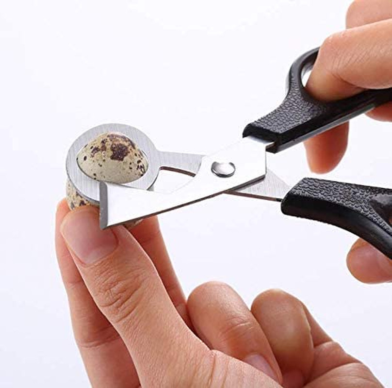 Stainless Steel Quail-Egg Cutter Scissors Kitchen Egg Shears Tool-4Pcs