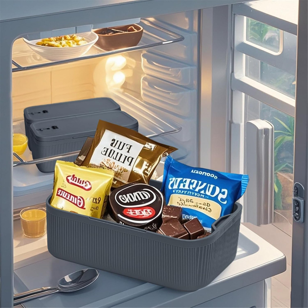Lockable Storage Box,Medicine Lock Box Travel Case,Refrigerator Bin Container fo