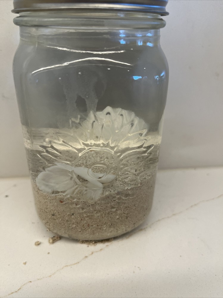 sand