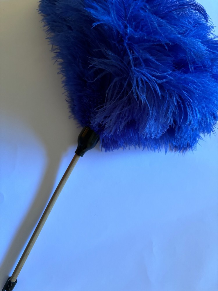 Royal blue soft ostrich feather display duster with 40 gram feather head