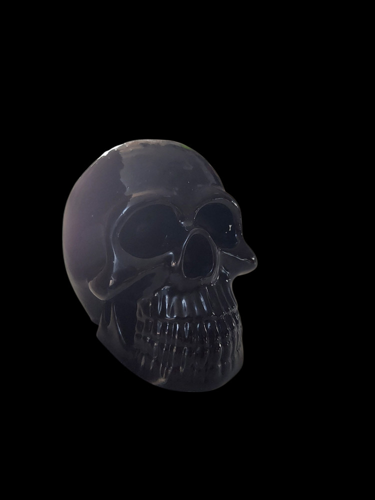 Large Resin skull made With BB'S #264