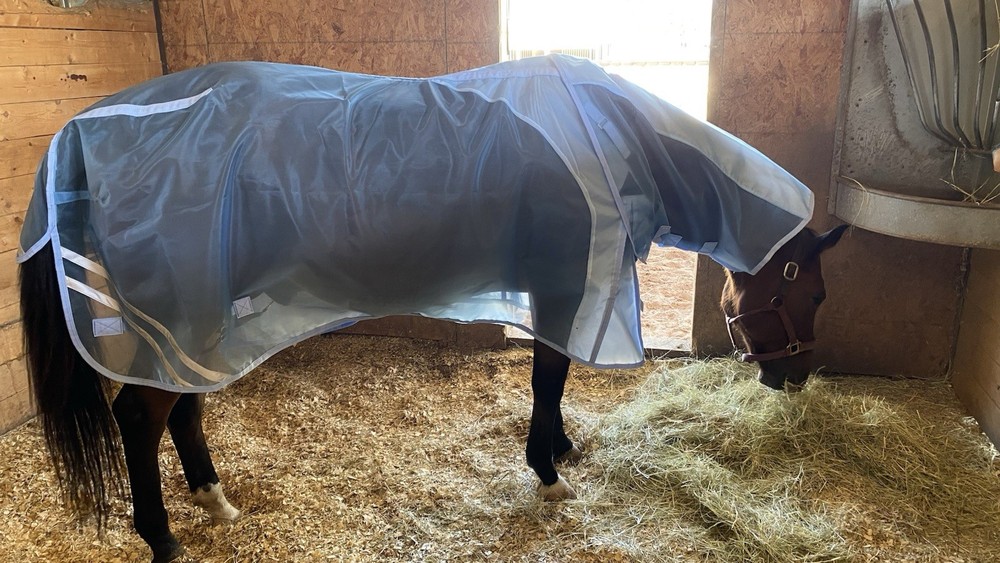 Used 84” Schneider’s Fly Sheet