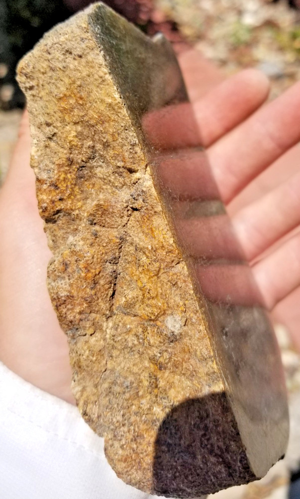 LARGE 855g Rainbow Agatized Dinosaur Gem Bone Polished Camarasaur Vert Specimen