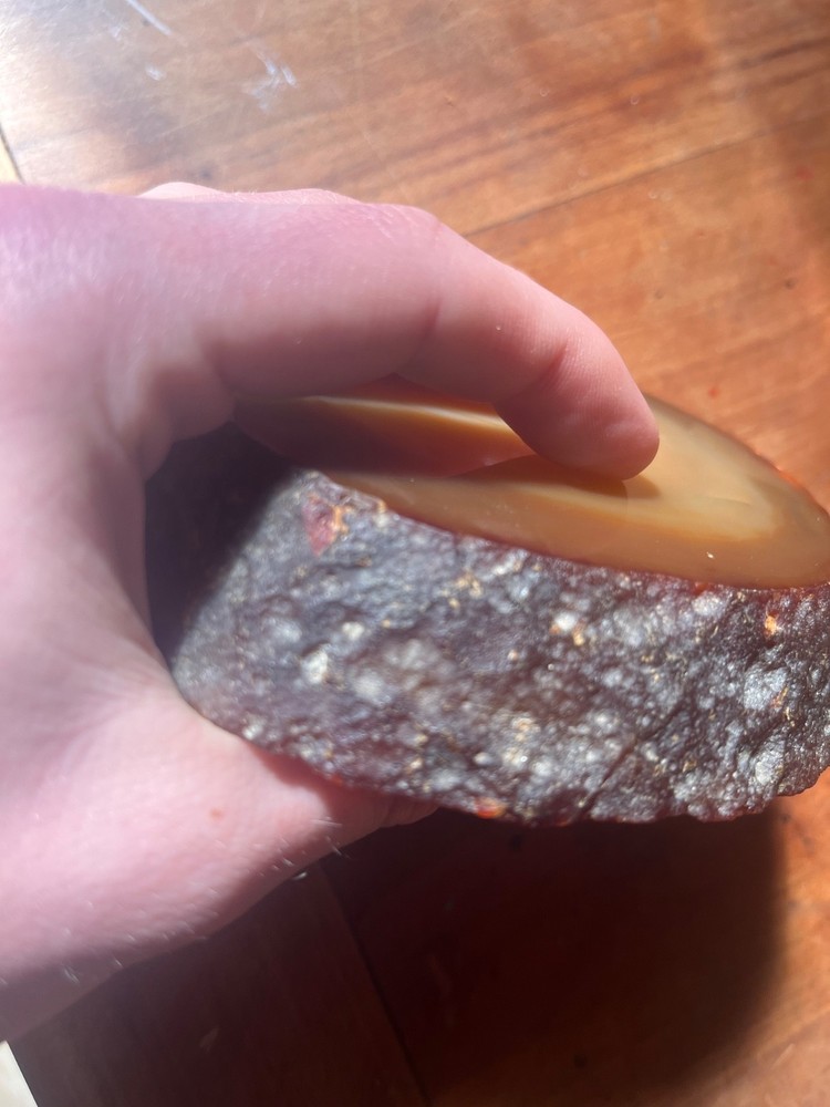 petrified wood