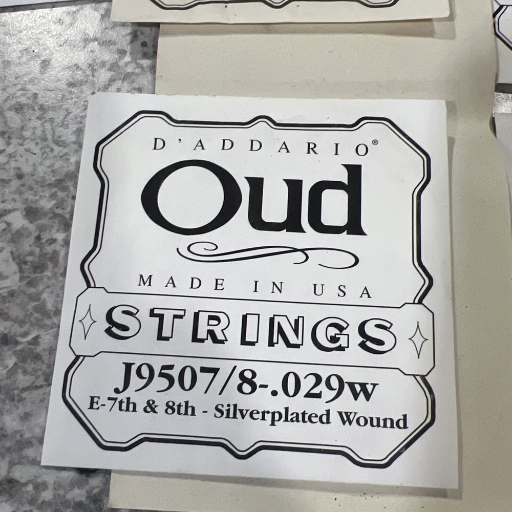 D'Addario EJ95 Oud 11-String Set