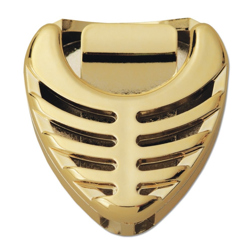 Pickboy Pickcase, Gold, 1 pc