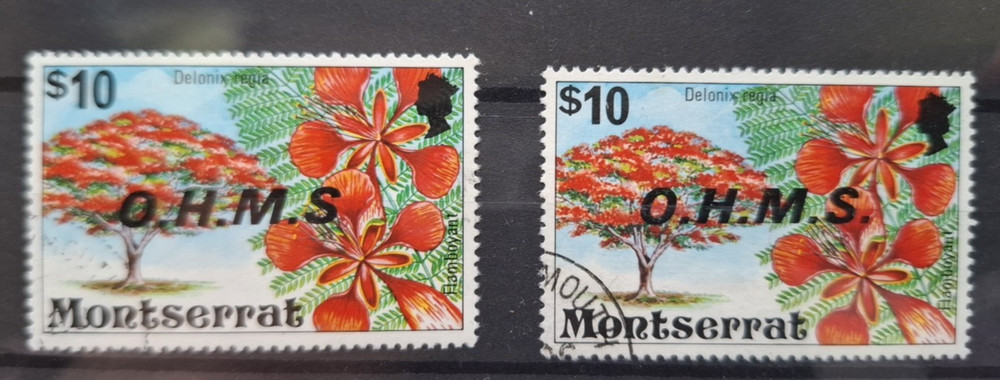 Montserrat 1976/80 Flowering Trees $10, missing stop after 'S' with norm, used
