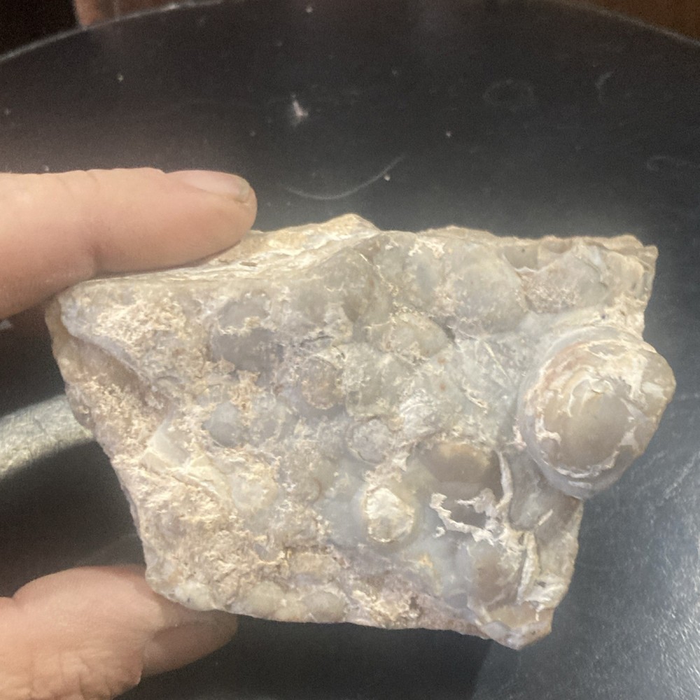 Rough Multicolored Agate Mineral Specimen for Cabbing