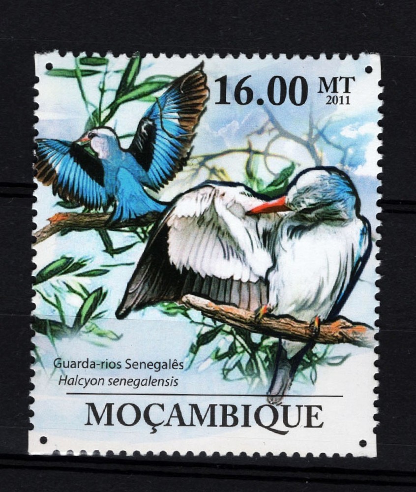 MOZAMBIQUE 2011    BIRDS    MNH    (161)