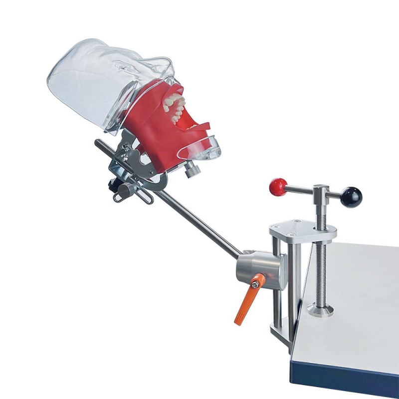 US Dental Simulator Simple Head Model Manikin Phantom Dentist Teaching Practice