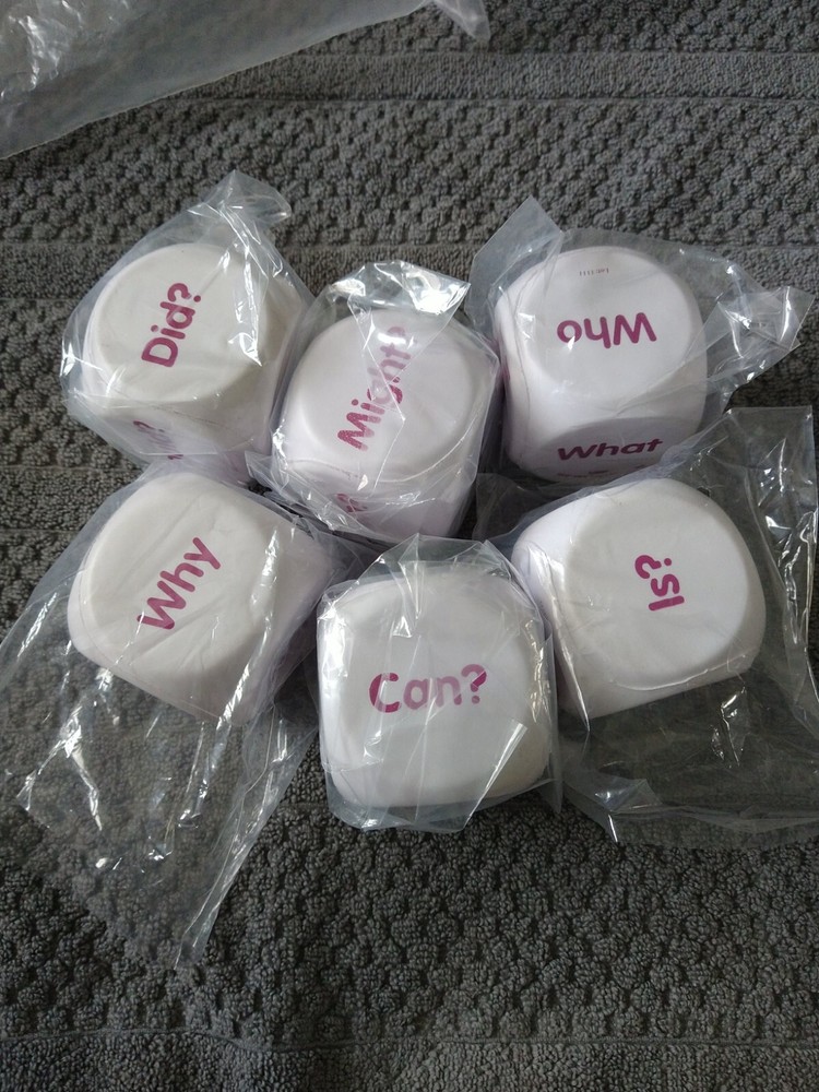 Question Dice, Educational, 6 Pieces