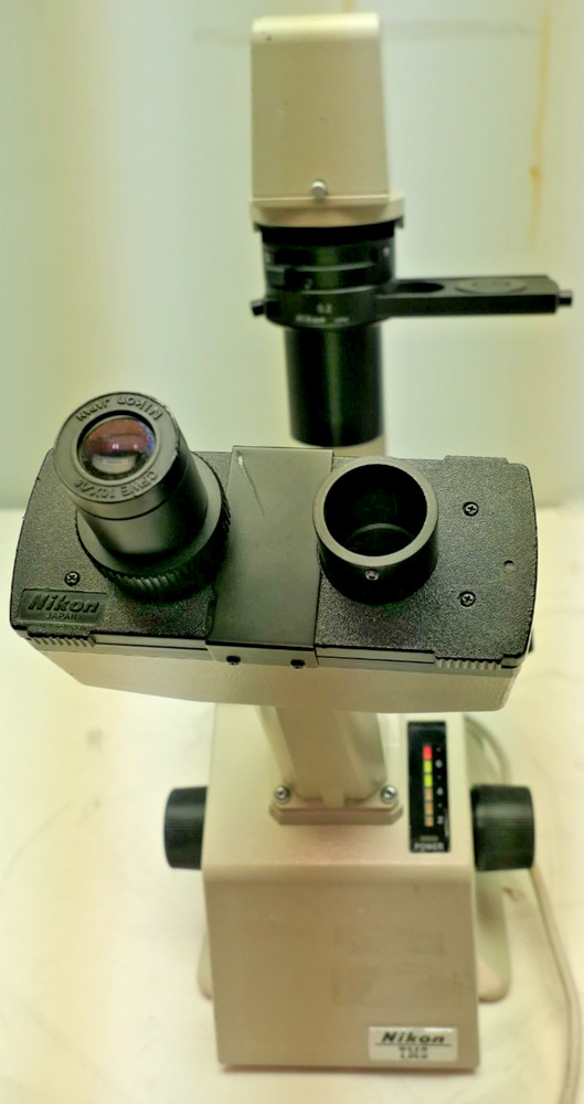 Nikon TMS Inverted Phase Contrast Binocular Microscope not turning on