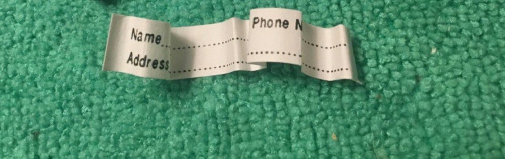 TagAlongs Pendant Pet ID Tag