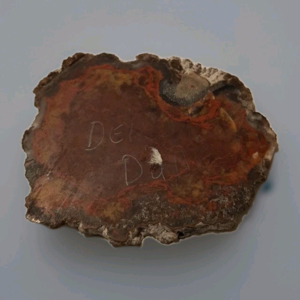 Petrified Dino Dung Slab 58g