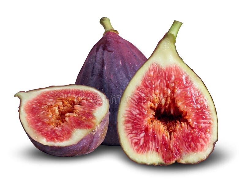 Organic Fig Tree 5 Cuttings ---Hardy Chicago