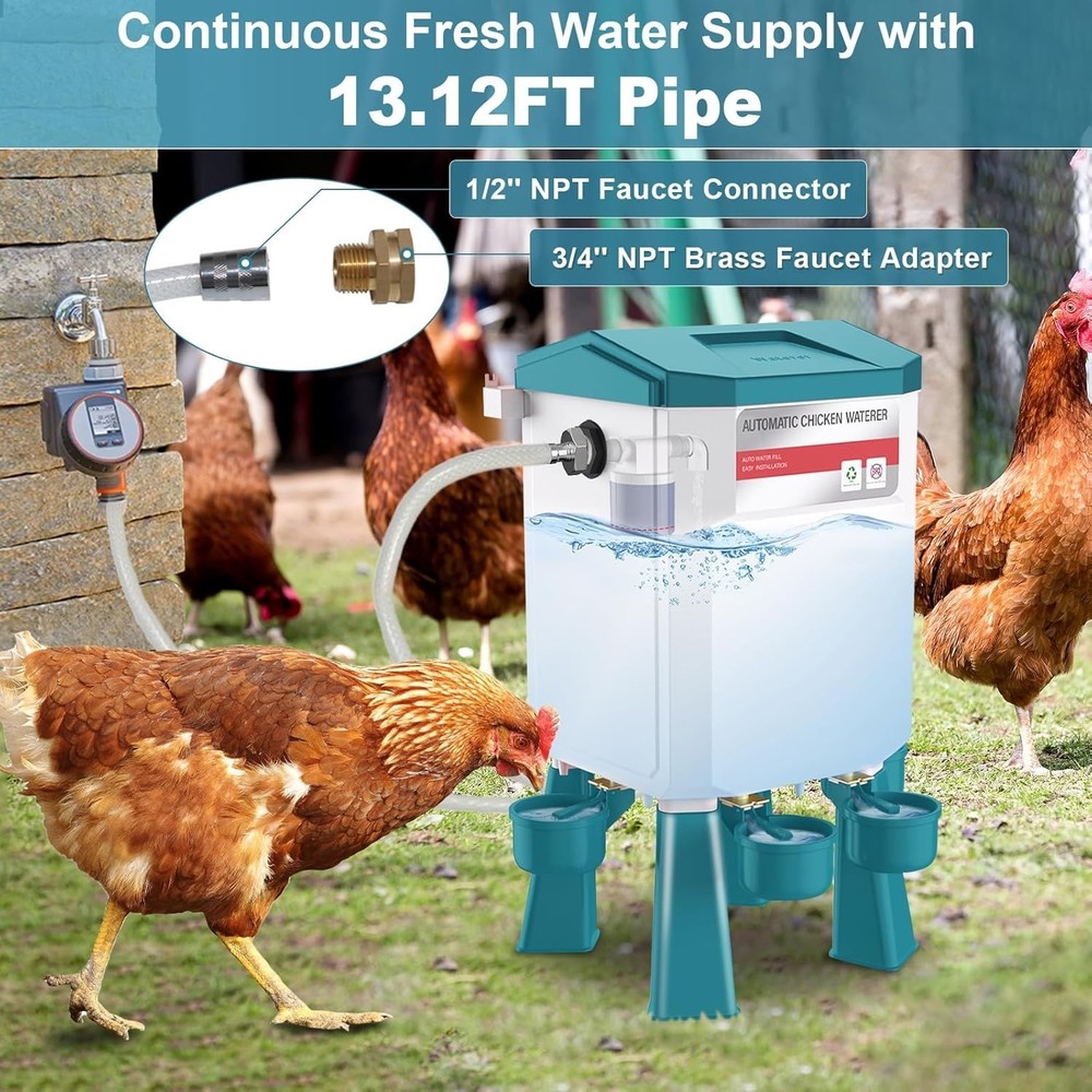 Automatic Chicken Waterer Large Chicken Waterer System Pou