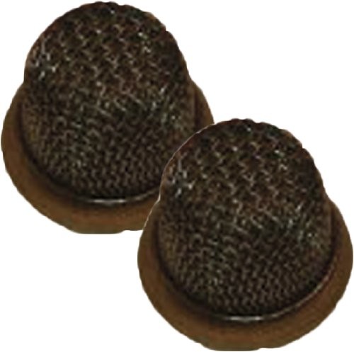 Ridgid Air Tool Replacement Filter (2 Pack) - 079005005028