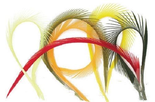 Goose Biot Strips Mixed Pack of 12 Gordon Griffiths