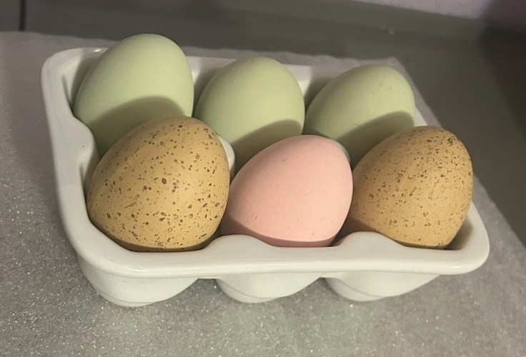 ceramic eggs Carton Holder 6 Eggs Fridge Storage Easter Farmhouse Decor + 6 Eggs