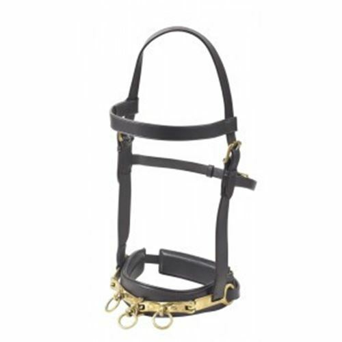 Camelot Leather Lunging Caveson