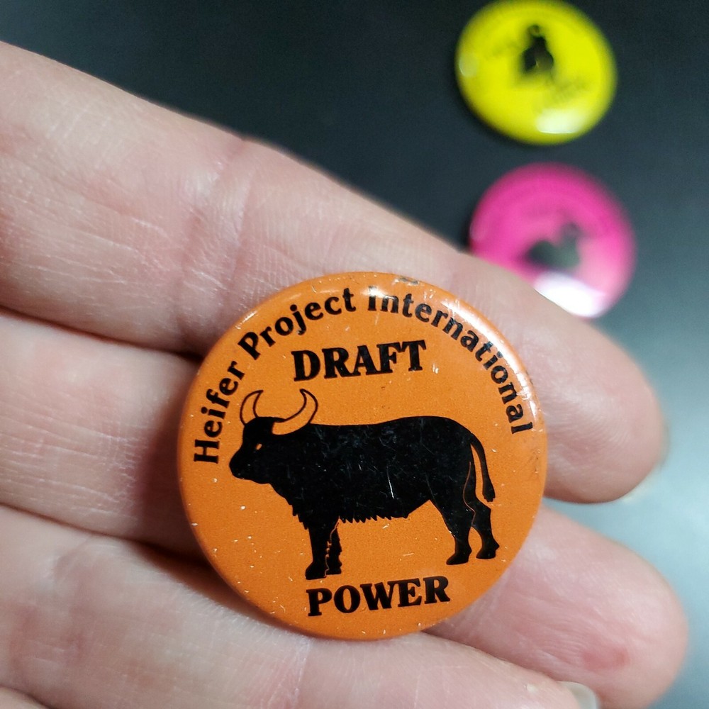 Heifer Project International Pins Chick, Duck, steer