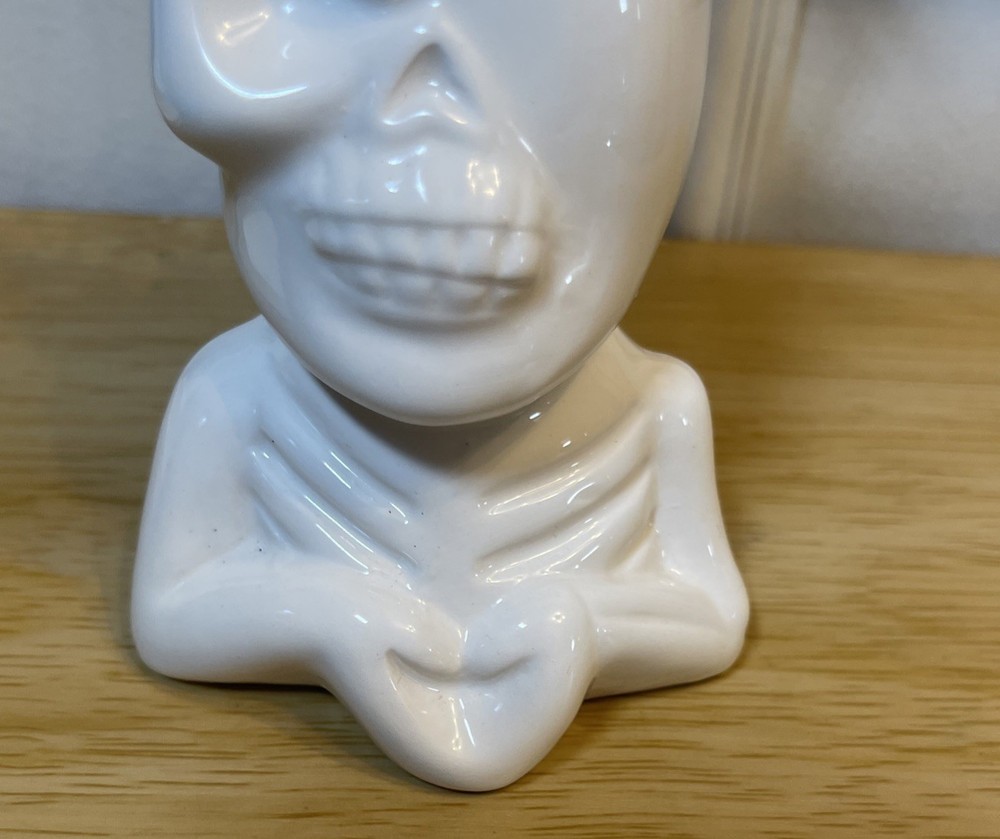 Skull Theme Planter With Artificial Succulents House Decoration Pre-Owned