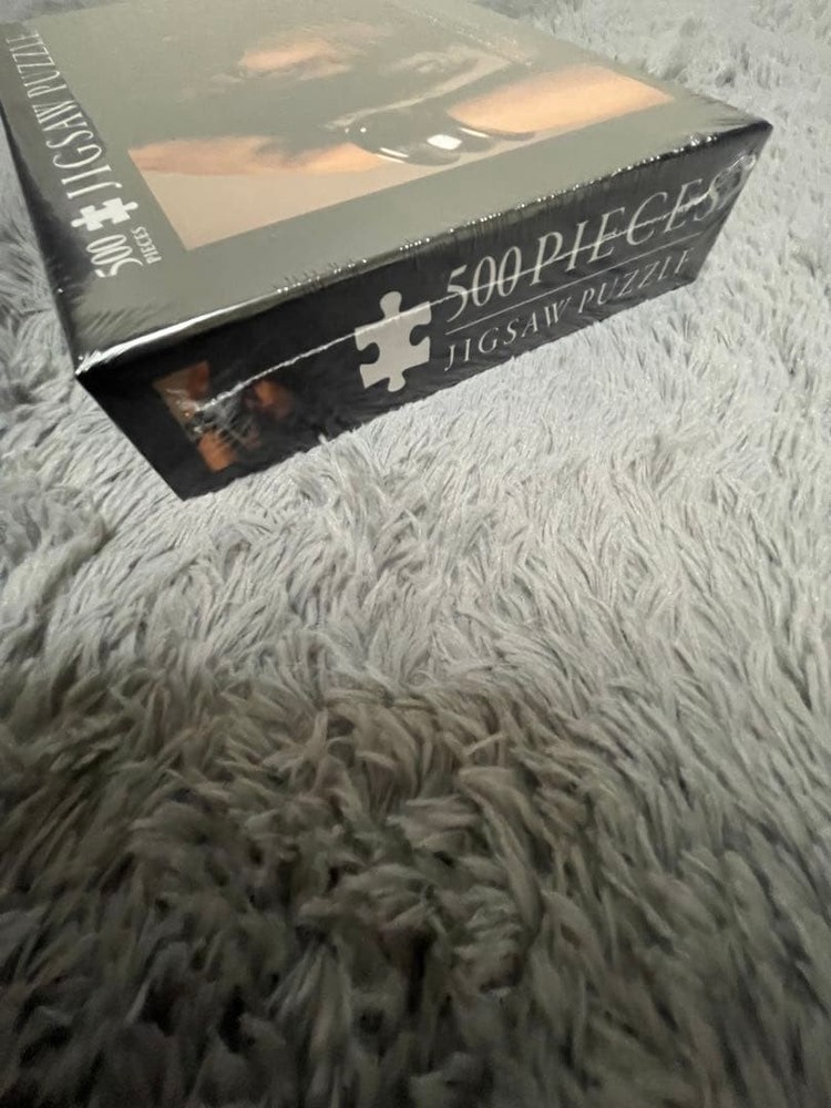 Ryuji Imaichi Jigsaw Puzzle [500 Pieces]