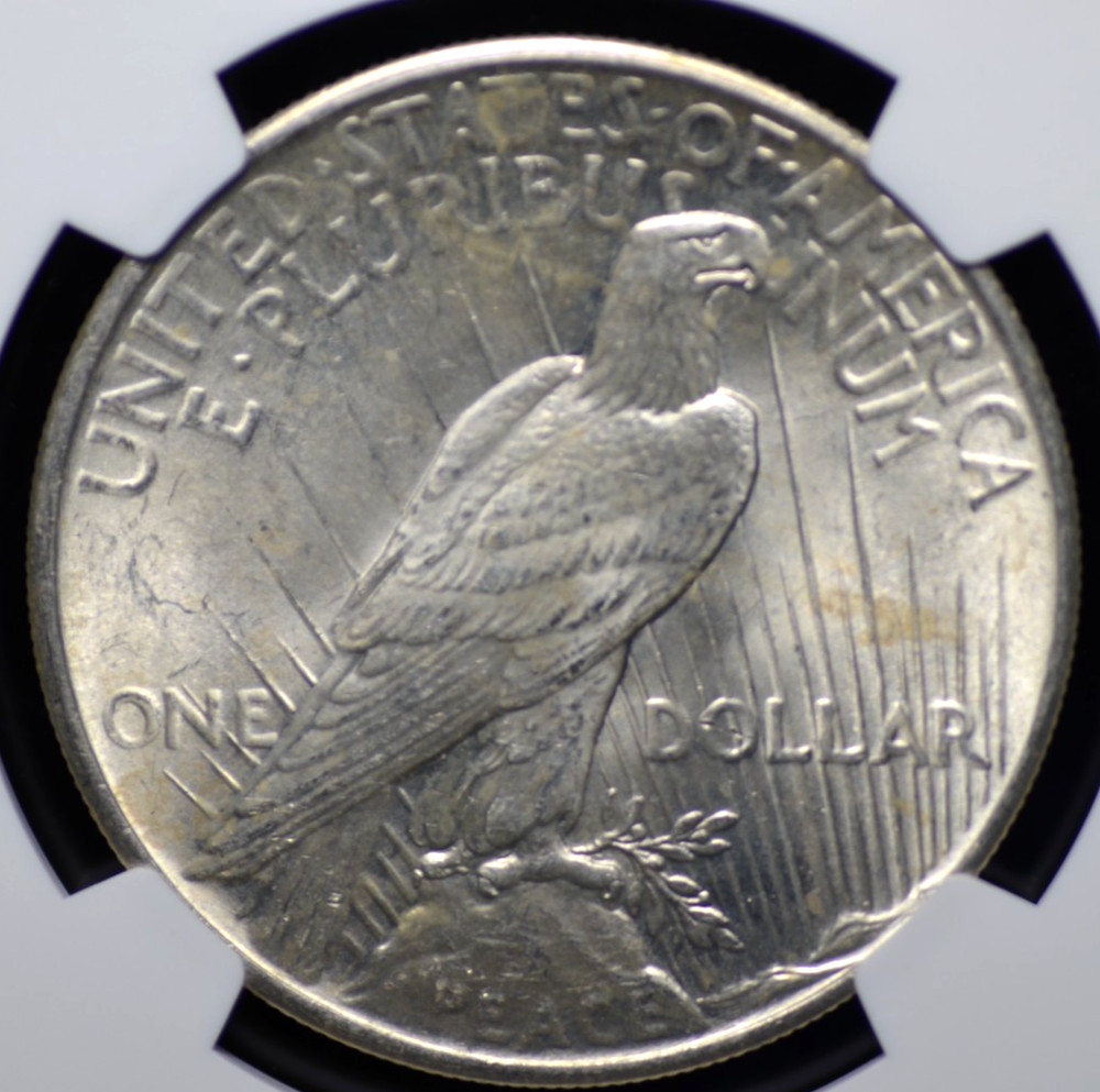 1925 PEACE DOLLAR NGC MS 63 NICE SATINY WHITE LUSTER WITH A BIT OF CHABLIS,
