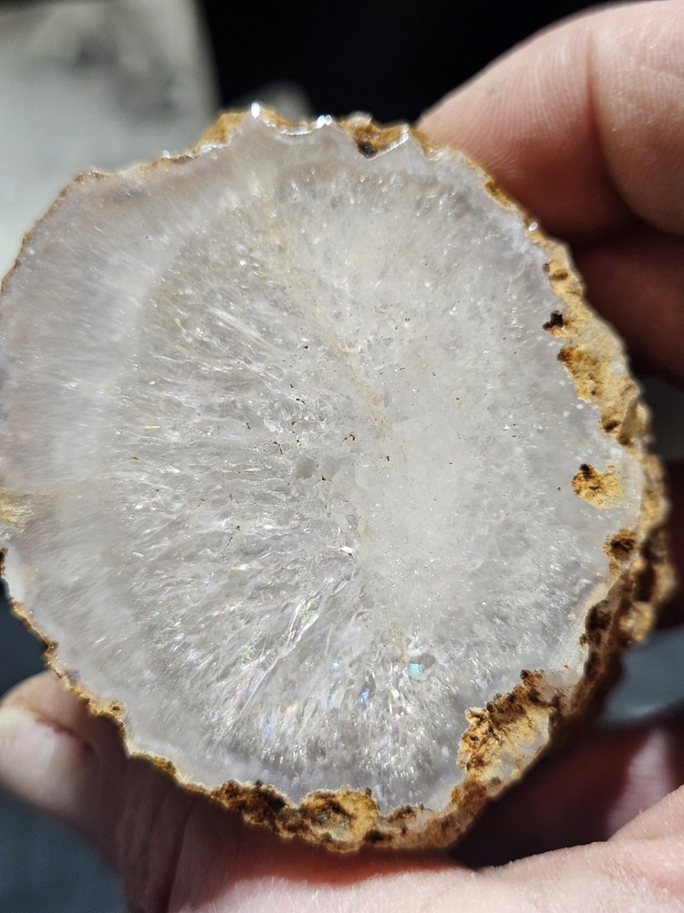 Limb Cast Crystalized w/ Multiple Rainbows (6oz)